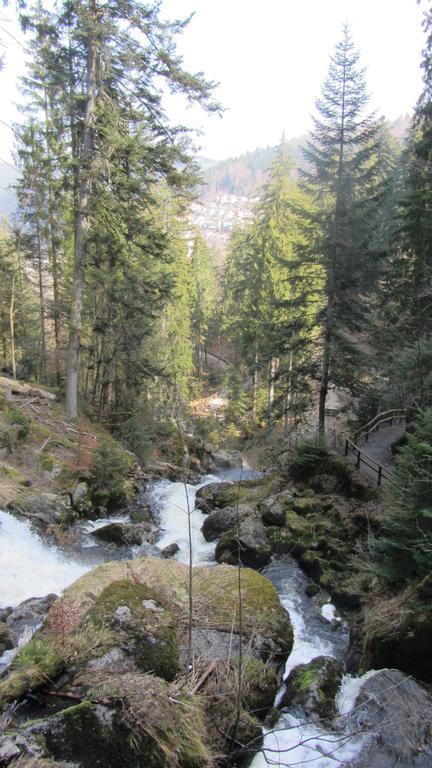 Hotel Zum Baren Triberg im Schwarzwald Exteriör bild